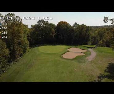 Lynx Golf Club - Hole 13 Flyover