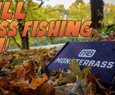 Fall Bass Fishing 101 | October MONSTERBASS & Geist Reservoir Footage!