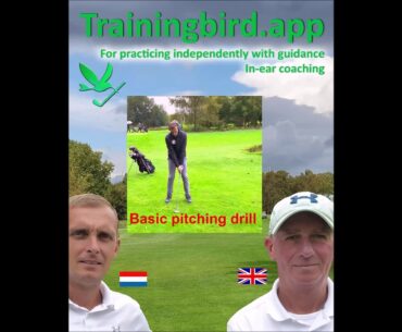 Trainingbird: Practicing independently with guidance