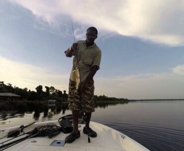 Bass Fishing Chain of Lakes Winter Haven, Florida