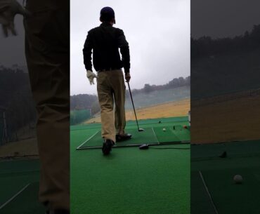 3 Wood in rainy day