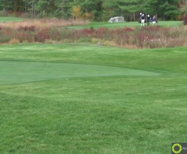 Medway vs. Norton ~ Varsity Golf 10/20/2020