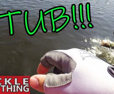 JUNK Fishing in the Fall (Frogs, Swimjigs, Texas-Rigs...and BLOWUPS!!!)