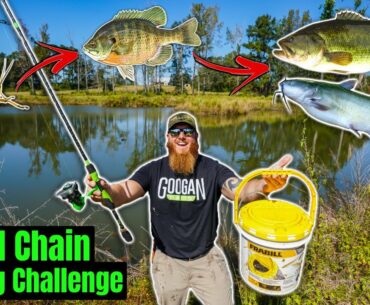 Food Chain Fishing Challenge in my Backyard (Crickets to BIG Fish!!)