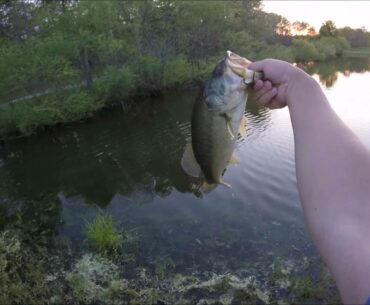 Chatterbait Bass Fishing