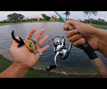 INSANE TARPON Fishing in RainStorm