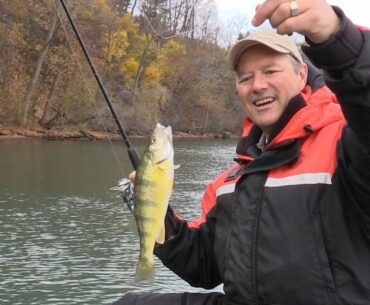 How to Catch Perch - Perch Tips using Live Minnows