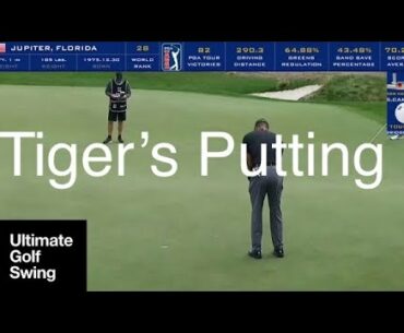 Nothing but the Tiger Woods’ putting!