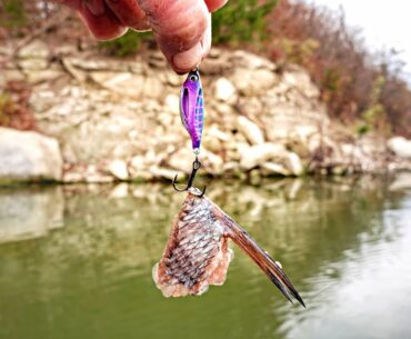 This TINY LURE Caught The MONSTER OF THE POND!!! (Unbelievably MASSIVE Fish)