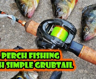 Fall Perch Fishing with Zman GrubZ - Indestructible Grub Tail - KastKing Zephyr BFS Reel