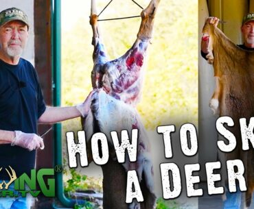 How To Easily Skin A Deer (#580)