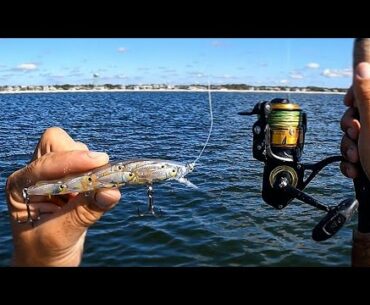 Fishing UNIQUE Jerkbaits & Jigs Off The Beach (EPIC Day)