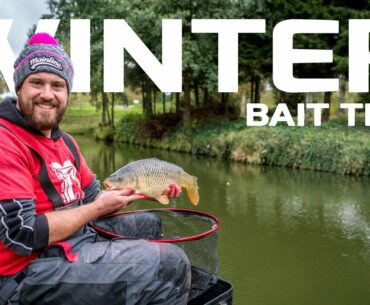 Winter Bait Tips. Mainline Match Fishing TV