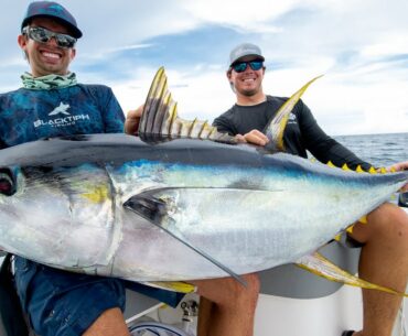 Monster Yellowfin Tuna!!