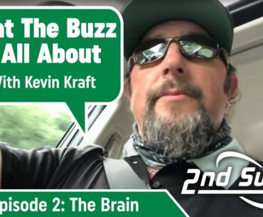 What The Buzz Is All About | Episode 2: The Brain