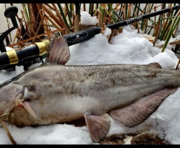 Fishing for Catfish In A Snow Storm - Confronting Campers In My Fishing Spot