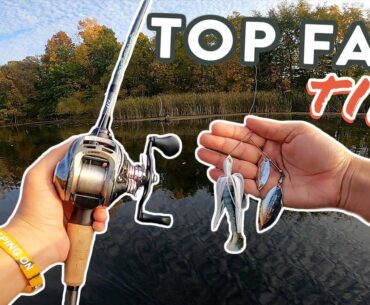 Fall Bass Fishing 101 | Catch More Bass In Fall Conditions