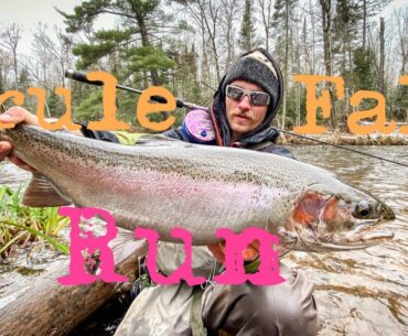 How to Catch Fall Run Steelhead, Cohos and Browns (Brule River, WI)