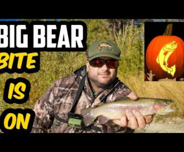 Big Bear Trout Fishin' |  Halloween | 2020