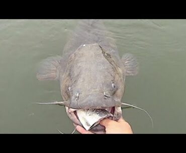 Fishing a Point for Fall Catfish