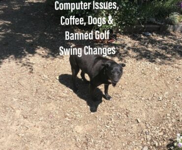 Computer issues dogs and banned golf swing changes