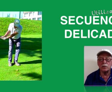 Wedge Delicado 7: La Secuencia Delicada