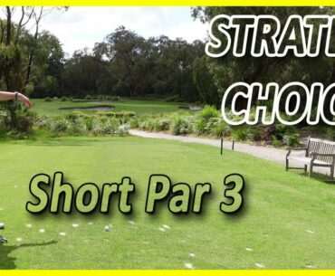 2 Ways To Play A Short Par 3 Hole