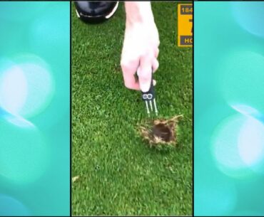 How to repair a pitch mark #shorts