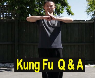Master Song Kung Fu Online Training Courses Monthly Q & A-3