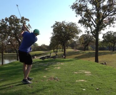 Accidentially Hit a Goose at the Golf Course