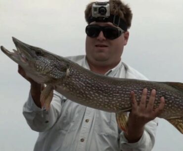 Trophy Pike Tactics: Glide Baits