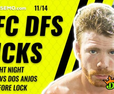 MMA DFS PICKS UFC FIGHT NIGHT: FELDER VS DOS ANJOS  STRATEGY DRAFTKINGS + FANDUEL 11/14