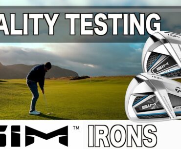 AweSIM Irons by TaylorMade?