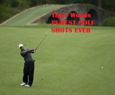 Tiger Woods PUREST Shots in Golf HISTORY(HD)