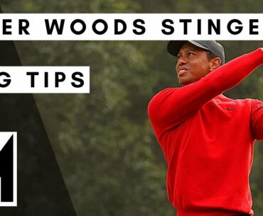 Tiger Woods Stinger