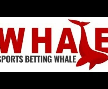 Tips and Strategies on How to Win Betting on Boxing and MMA Fights The Sports Betting Whale Explains