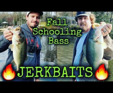 Schooling Fall Bass Fishing (Jerk Bait Fishing) #jerkbaitfishing #fallbassfishing #schoolingbass