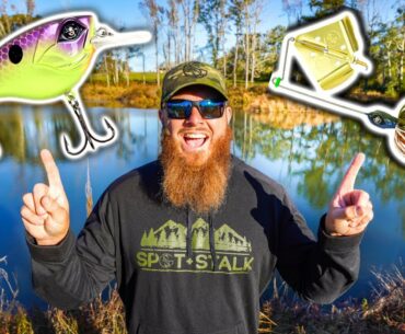 Catch MORE Bass w/ These 2 Fishing Lures (Fall Lures for BIG Bass!!)