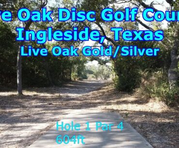 Live Oak Disc Golf Course, Gold/Silver, Ingleside Texas