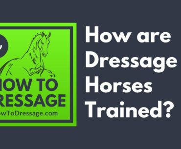 How are Dressage Horses Trained? | How To Dressage Podcast