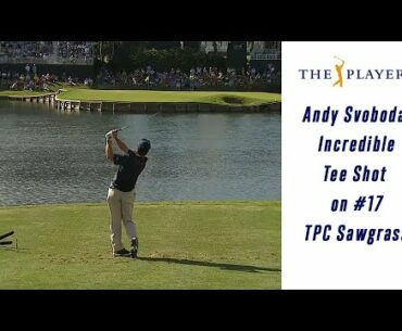 Andrew Svoboda - Incredible Tee Shot at #17 at The Players Championship