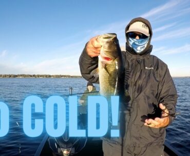 Florida Bass Fishing | Coldest Day of the Year