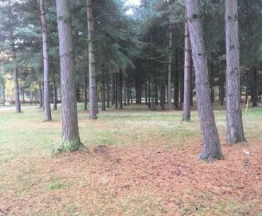 Sherwood Pines Disc Golf course walkthrough