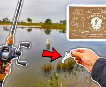 The PERFECT Pond Fishing Box (They Catch FISH!!)