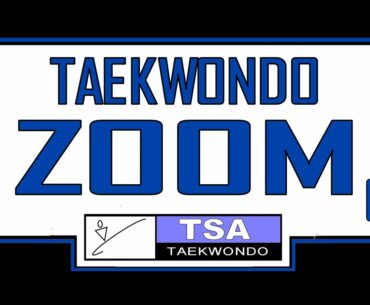 Taekwondo zoom class Nov 2020 7
