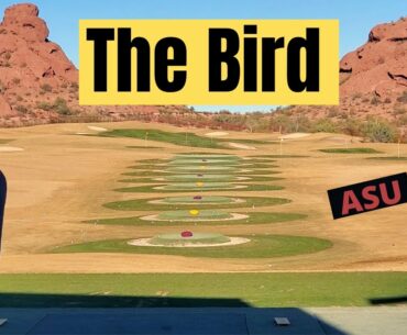 A day at The Bird - ASU Golf