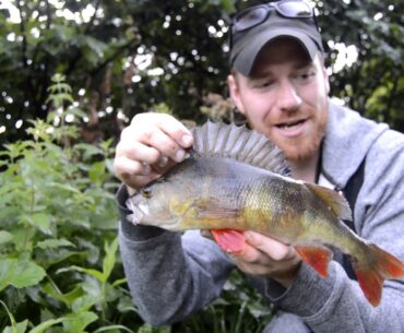 Big Perch at Dusk 1 Hour Challenge!