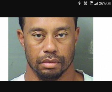 TIGER WOODS REPORTEDLY WAS ASLEEP AT THE WHEEL ACCORDING TO POLICE IN DUI CASE!