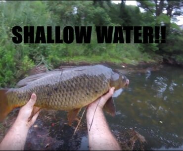 HUGE fish in SHALLOW water!!