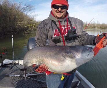 Catching BIG Catfish Off Ledges Around Timber (Fast Action!)